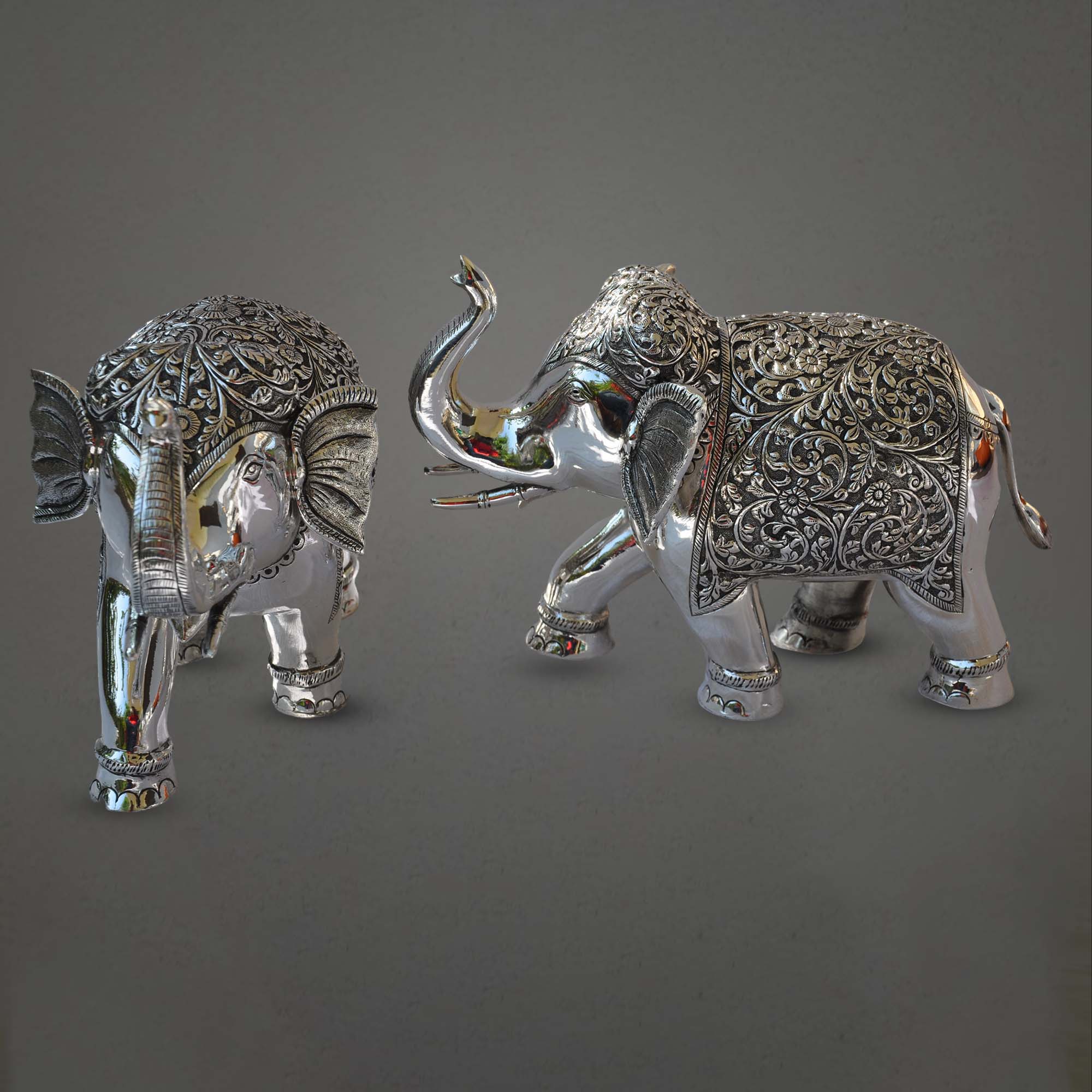 Animal